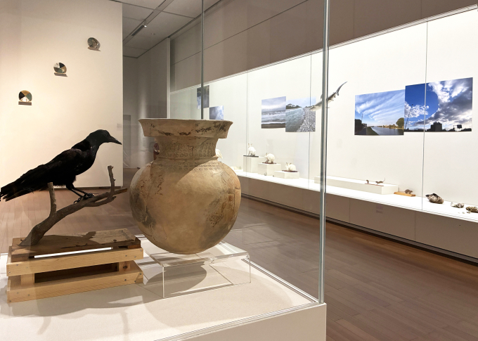 遠藤 薫《二十二世紀の睡眠法》展示風景キャプションでは、「倉吉博物館にて白昼夢を見た。（中略）壺形の土器の首に、カラスが何かを押しつけている映像？」と記され、遠藤が見た夢のイメージによって展示が構成されている。