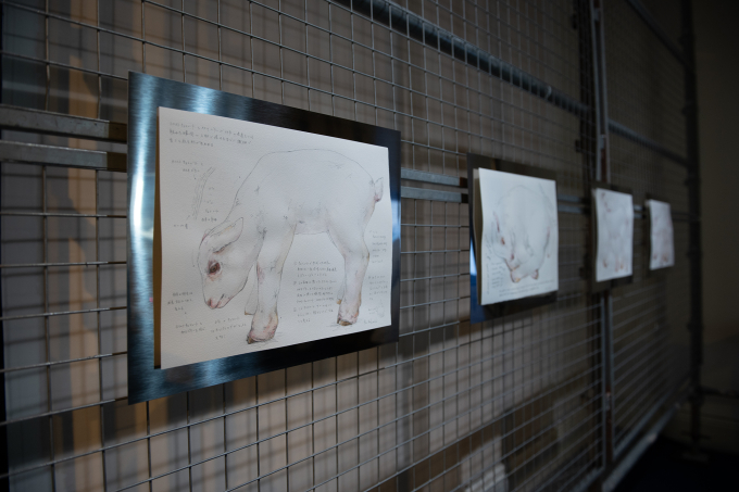 中西凛の展示風景