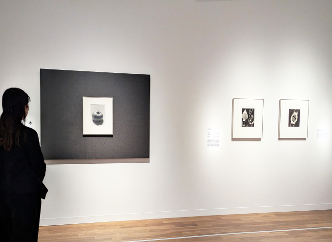 展示風景より、左はマン・レイ《ねじとりんご》、右の2点は《レイヨグラフ》