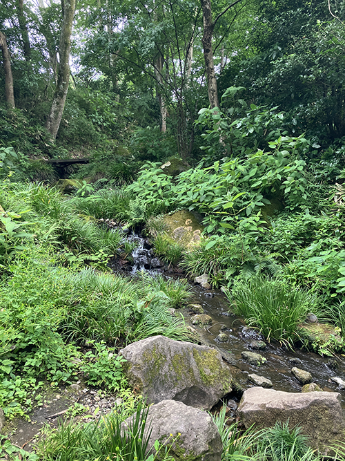 屋外展示エリア（舟越が屋外展示に希望した場所と思われる）