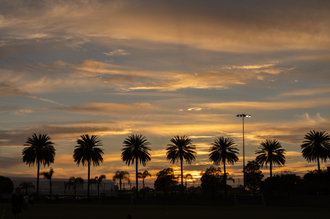 ロサンゼルスを象徴するパームツリーの風景。フリーズウィークは、サンタモニカ空港からLAの街全域に広がる。Frieze Los Angeles 2026. Image by Casey Kelbaugh/CKA. Courtesy of Frieze.