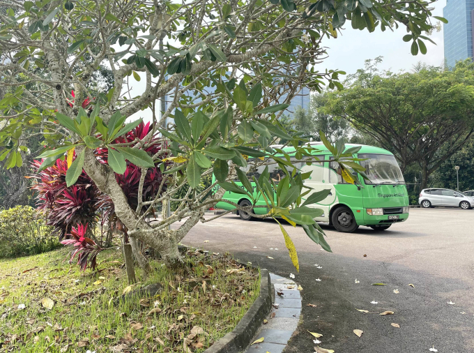 伸びやかな緑に囲まれた複合文化施設、ギルマン・バラックス内に進むアートバス。ART SG が開催されるシンガポール・アートウィーク期間に主要アートスポットを巡回する。2026年は午前11時から 午後8時まで(金・土は 午前11時から午後10時半まで)運行。