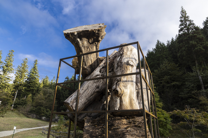 西澤利高《すべてに魂があって すべての魂はひとつだった》Photo by Osamu Nakamura