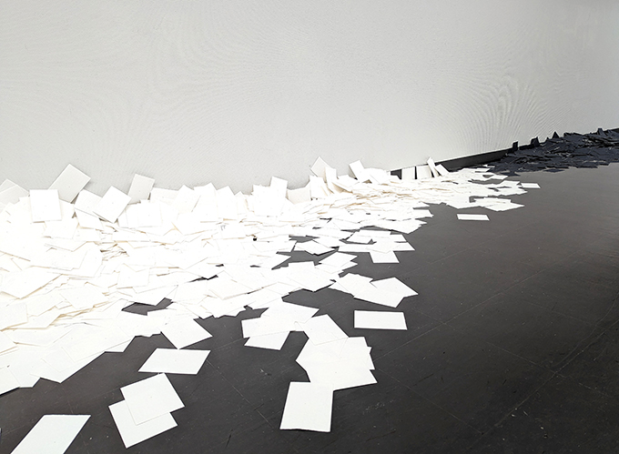 展示空間より、インスタレーション《種蒔きと烏》(2025)  床にあるのは手漉き阿波和紙のポストカード。ポストカードにはポピーの種が1粒漉き込まれている。鑑賞者はポストカードを１枚持ち帰る代わりに、選んだ色のシールを展示空間に残す。外に持ち出した種をどのように使うのかは鑑賞者自身の手に委ねられる。