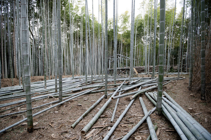奥に組み上げた櫓にも上ることができる。