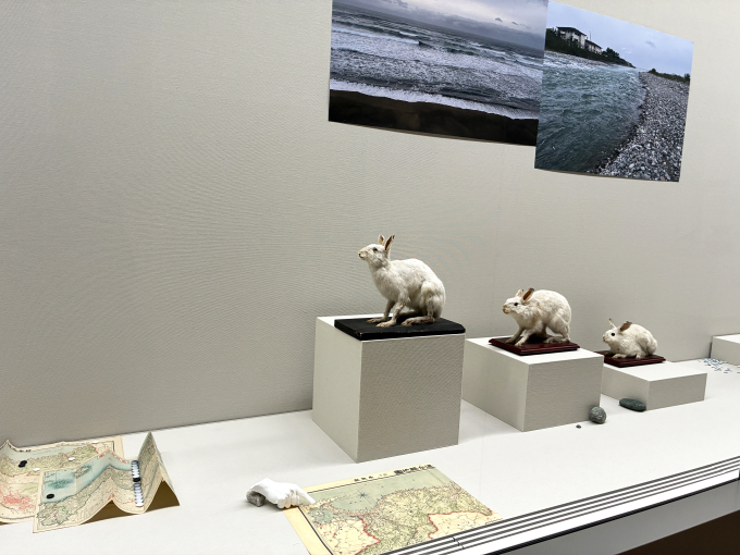 遠藤 薫《二十二世紀の睡眠法》展示風景鳥取でウサギといえば『古事記』に登場する「因幡の白兎」の神話が思い起こされる。土地に根差すもの・ことを、フィールドワークの記録や夢のイメージと絡めながら展示することで、新しい物語が紡がれていく。
