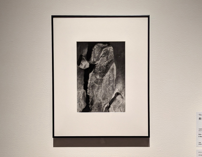 ヴォルス《美しい肉片》1939年　個人蔵