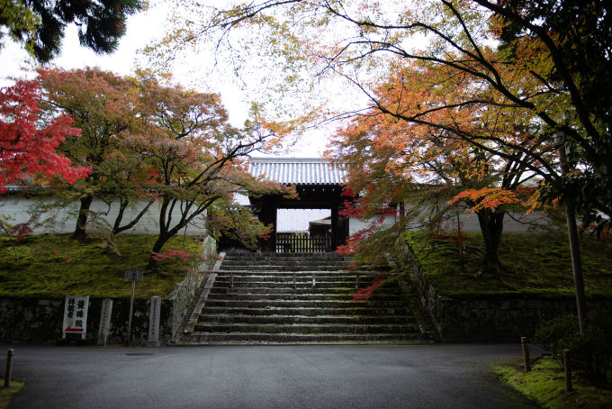 洛北の名刹、曼殊院門跡。キャリー・ヤマオカ「Inside Out/Outside In」が12月3日まで開催中