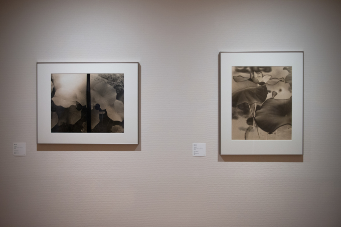 左から、《題不詳》1950年代 MEM、《題不詳》1950年代 MEM