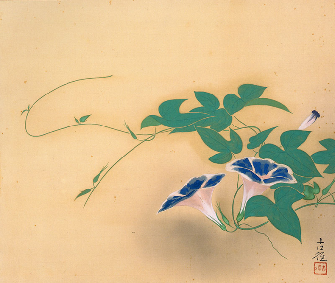 小林古径《朝顔》　1947～1948（昭和22～23）年頃【前期展示（2/25-4/12）】