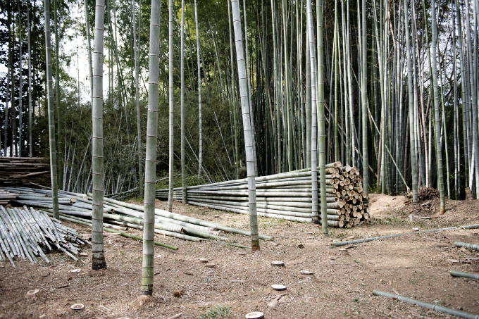 竹を横に寝かせて束ねた造作は、本坊庭園(方丈)における重森三玲の石使いから着想したという。