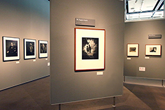 写真史に燦然と輝く名作が集結。写真表現の豊かさに触れる展覧会『フジフイルム・フォトコレクションII』―世界の20世紀写真「人を撮る」―が、FUJIFILM SQUARE（フジフイルム スクエア）にて5月16日(木)まで開催